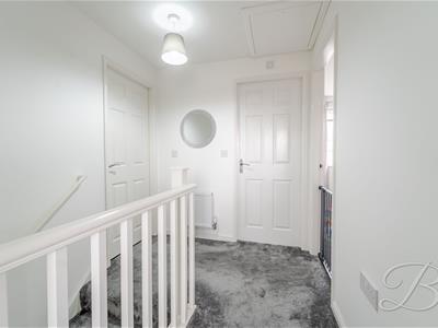 Picture 24